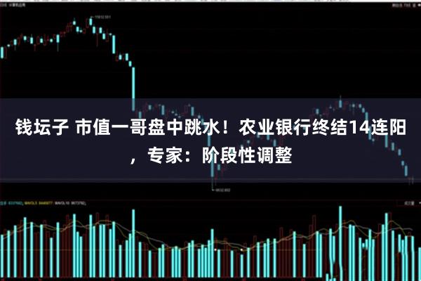 钱坛子 市值一哥盘中跳水！农业银行终结14连阳，专家：阶段性调整