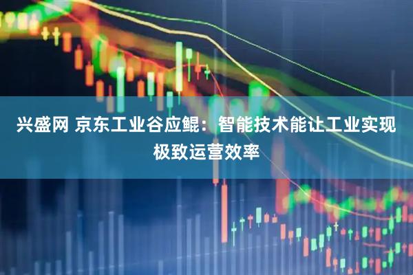 兴盛网 京东工业谷应鲲：智能技术能让工业实现极致运营效率